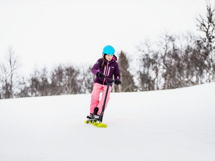 Schienale Per Slittino R.P.L. - Compatibile Con Davos 110 Cm - Foto 5